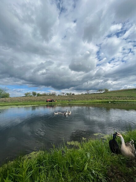 More Photos Of 280-300 Matson Hill Rd, South Glastonbury Land For Sale
