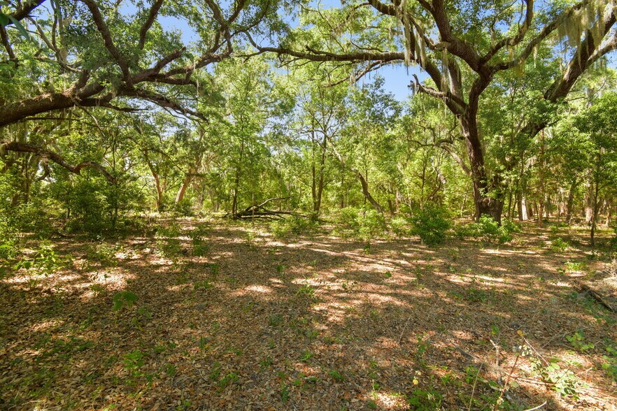 More Photos Of 903 Knowles Rd, Brandon Land For Sale