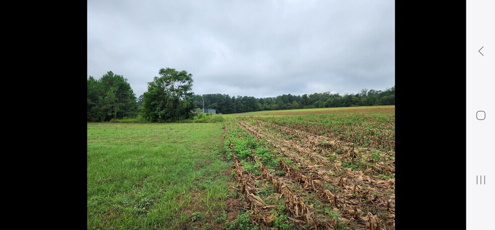 More Photos Of 2641 NC-71, Maxton Land For Sale