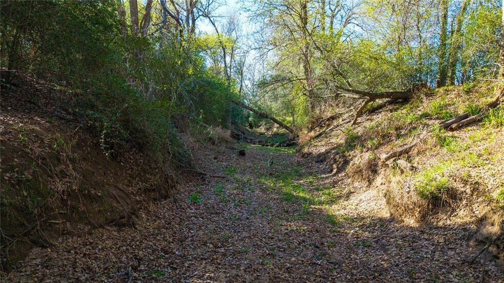 More Photos Of 1700 Co 216 rd, Giddings Land For Sale