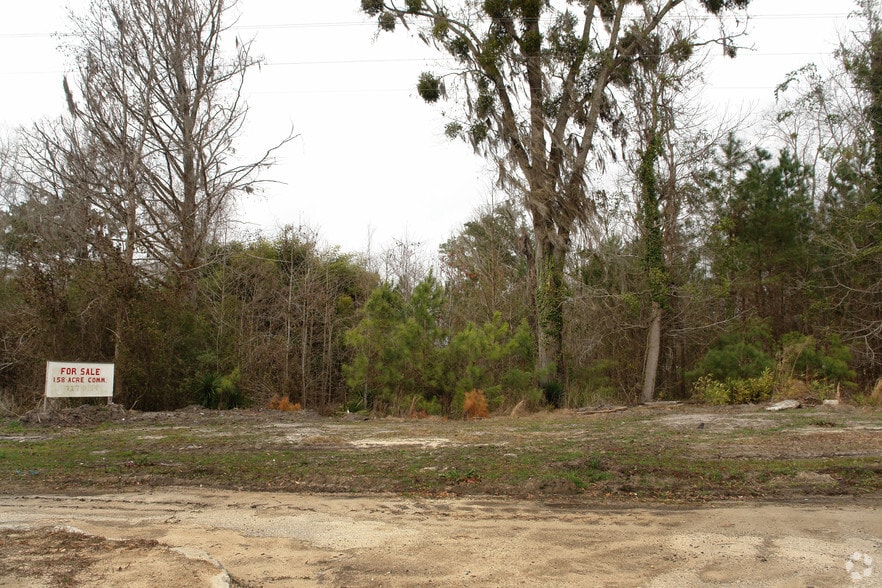 Primary Photo Of Us-17, Richmond Hill Land For Sale