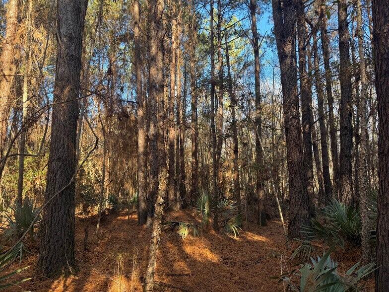 More Photos Of Repose Drive Rd, Branchville Land For Sale