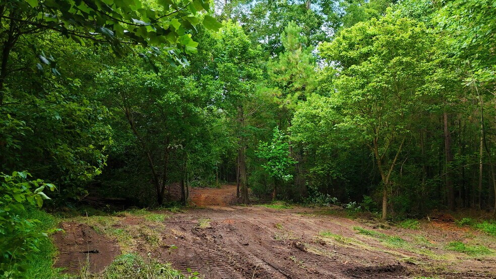 More Photos Of 00 221 Highway South Hwy, Laurens Land For Sale
