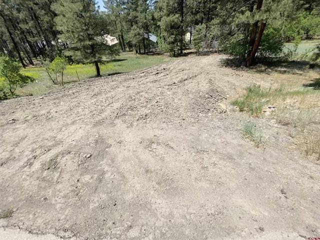 More Photos Of 2266 Co 600 rd, Pagosa Springs Land For Sale