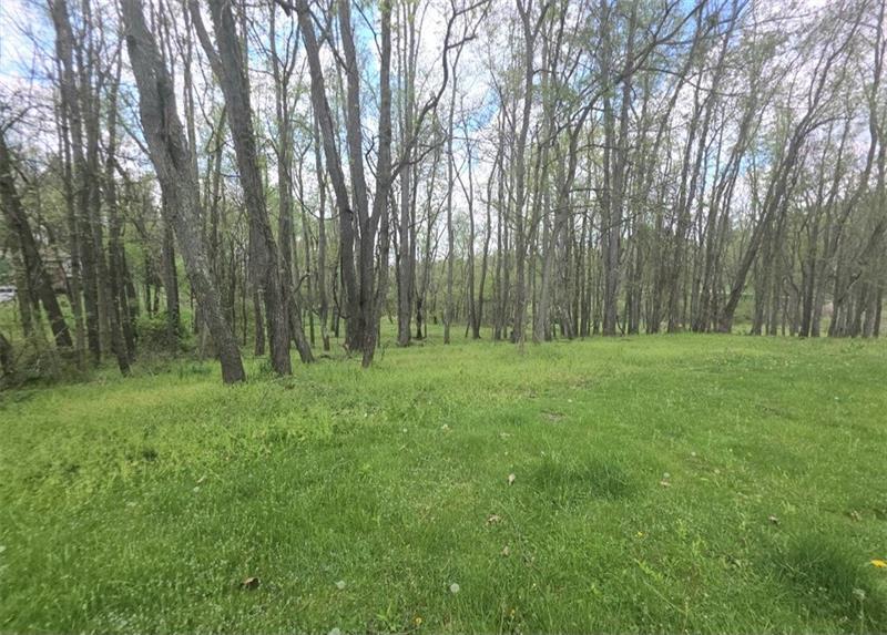 More Photos Of 000 Thomas Rd, Eighty Four Land For Sale