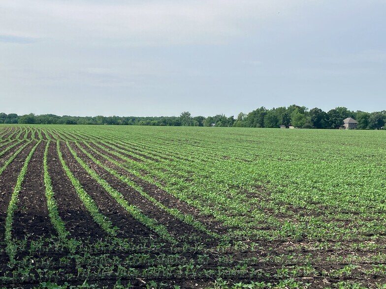 More Photos Of 00 Center Rd, Rochelle Land For Sale