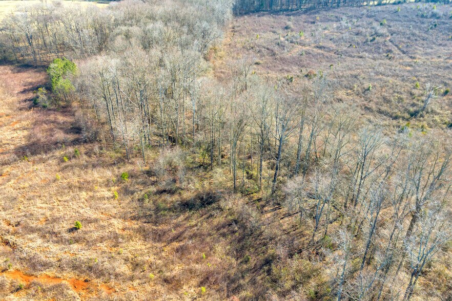 More Photos Of 00 Bill Little Pky, Carnesville Land For Sale
