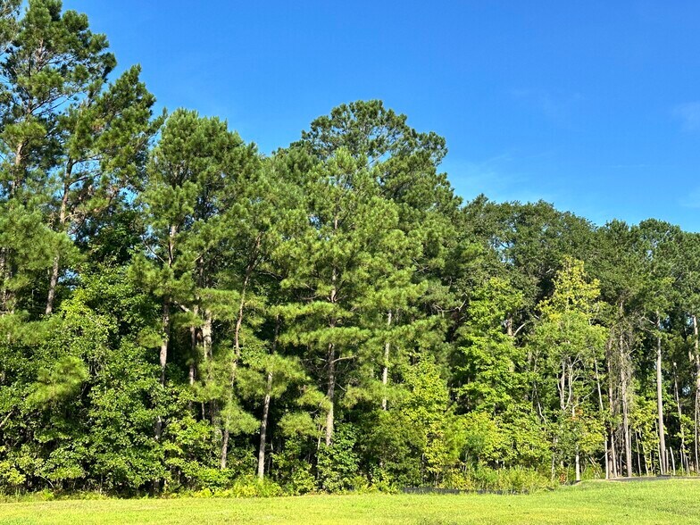 More Photos Of 5C N Okatie Hwy, Okatie Land For Sale
