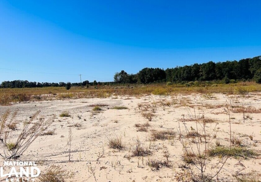 More Photos Of 10540 GA Highway 273, Jakin Land For Sale