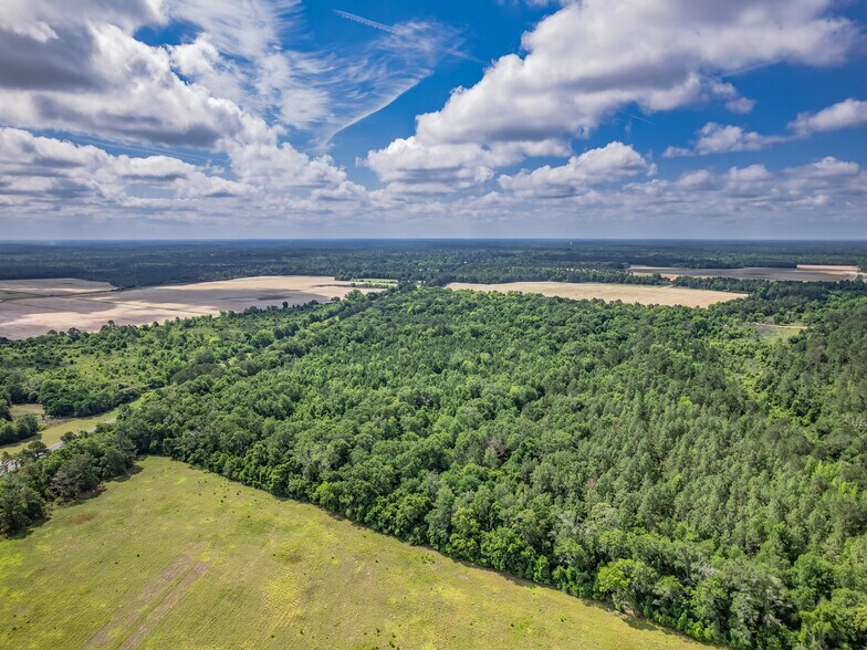 More Photos Of 13184 Memorial Blue Star Hwy, Quincy Land For Sale