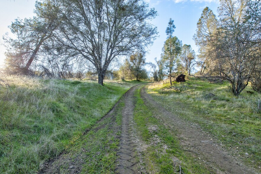 More Photos Of 50871 Road 200, O Neals Land For Sale