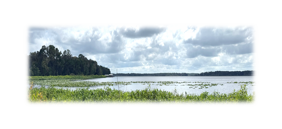 Primary Photo Of 7707 Holden Park Rd, Hawthorne Land For Sale