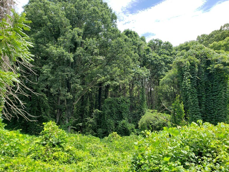 More Photos Of 548 Caribou Rd, Asheville Land For Sale
