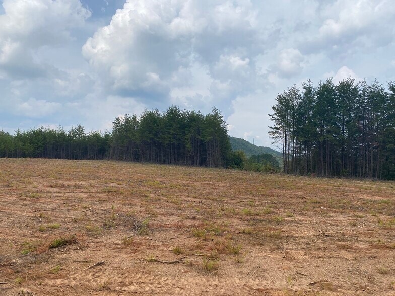 More Photos Of 8 First Ave, Ellijay Land For Sale