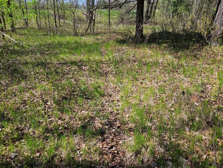 More Photos Of 2935 S Wisconsin Ave, Rice Lake Land For Sale