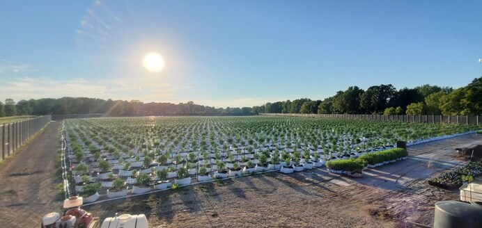 More Photos Of 8505 Isabella County Line rd, Coleman Land For Sale