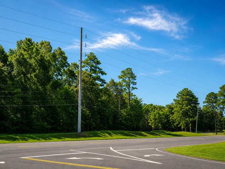 Primary Photo Of 0 Philema Rd, Albany Land For Sale