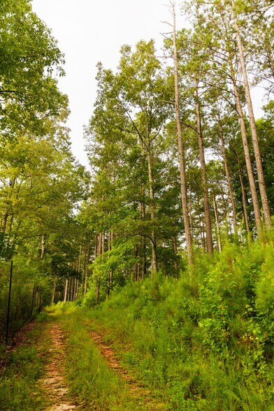 More Photos Of 2199 Roosterville Rd, Roopville Horse Stables For Sale