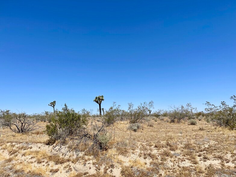 Primary Photo Of Nevada Rd @ South St., Phelan Land For Sale