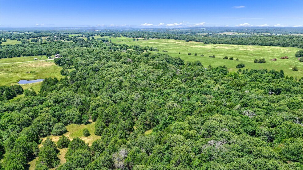 More Photos Of TBD CR 113, Whitesboro Land For Sale