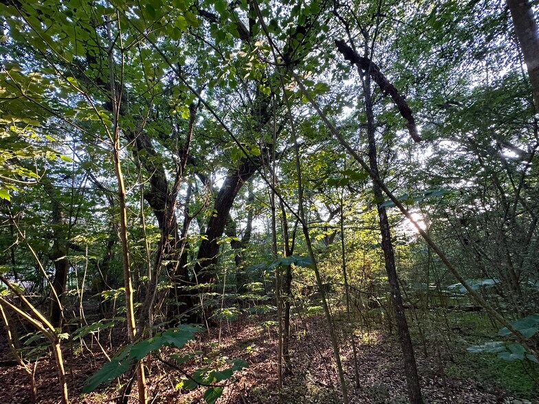 More Photos Of 0 Wilmer, Wilmer Land For Sale