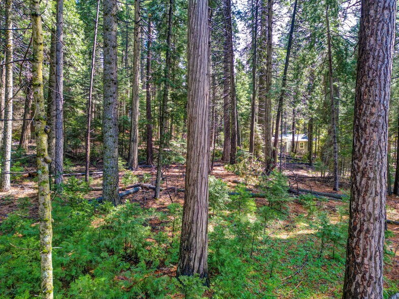 More Photos Of 857 CA-4, Arnold Land For Sale