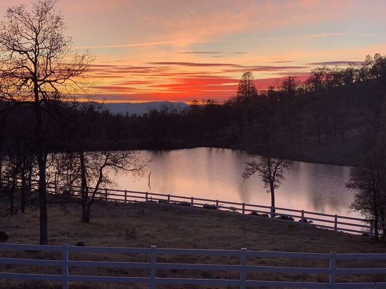 More Photos Of 14388 Fern Rd, Whitmore Land For Sale