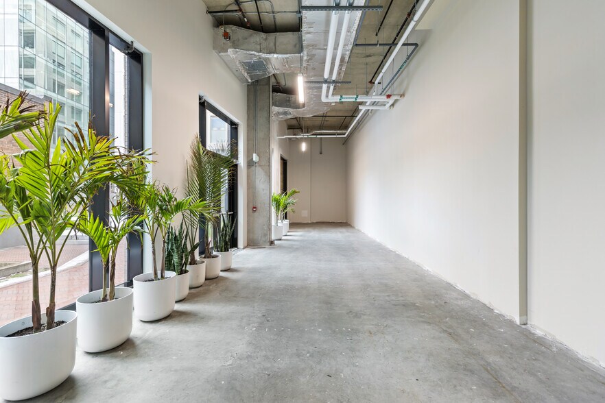 More Photos Of 530 St Saint-Hubert, Montréal Apartments For Lease
