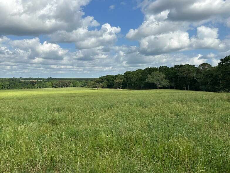 More Photos Of Millside Road, Laurel Hill Land For Sale