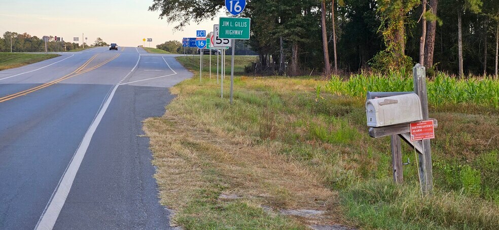 More Photos Of 134 Wf Brogdon Ln, Brooklet Land For Sale