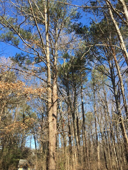 More Photos Of 2748 E Atlanta Rd, Stockbridge Land For Sale