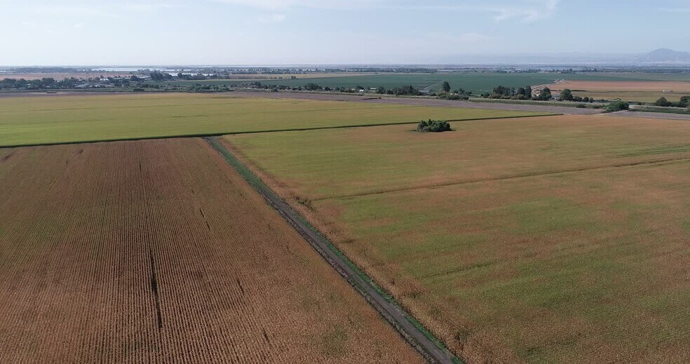 Primary Photo Of 16637 Tyler Island Rd, Isleton Land For Sale