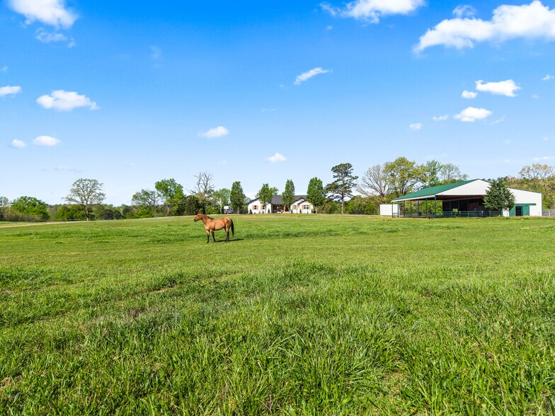 More Photos Of 163 Barbie Ln, Mount, Pencil Bluff Land For Sale