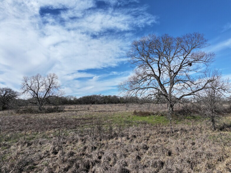 More Photos Of Highway 14, Groesbeck Land For Sale