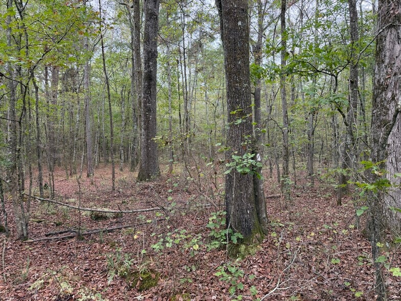 More Photos Of Colquitt Rd, Cedartown Land For Sale