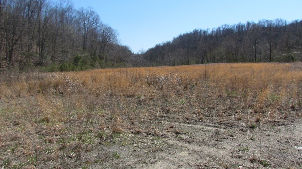 More Photos Of 0 Mccorkle Rd, Alum Creek Land For Sale
