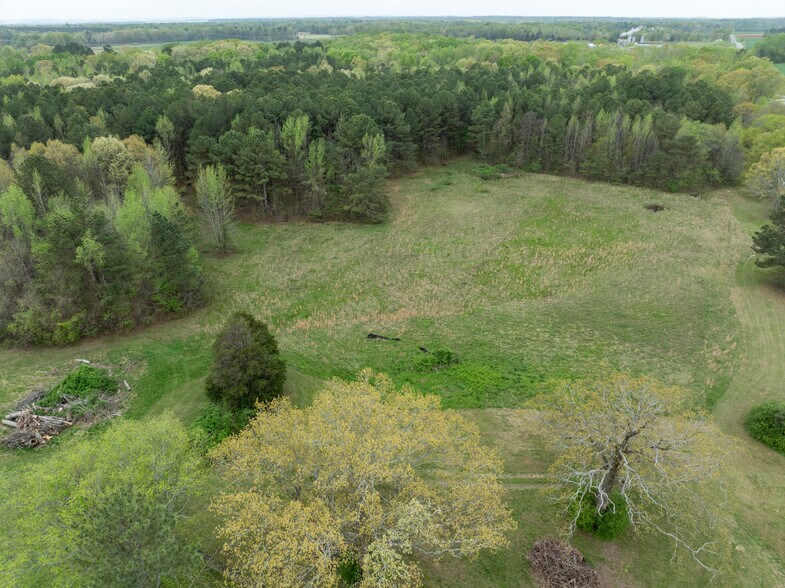 More Photos Of 18990 Moyers Rd, Athens Land For Sale