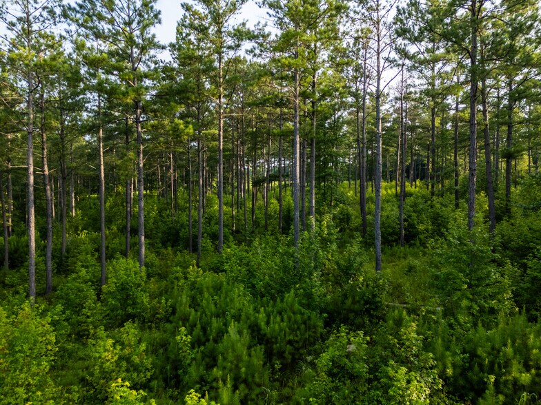 More Photos Of 2199 Roosterville Rd, Roopville Horse Stables For Sale