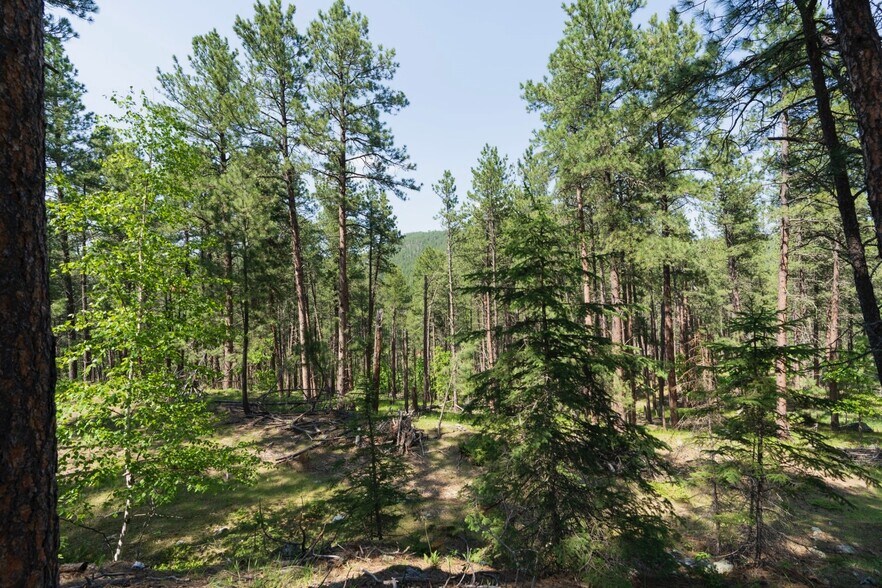 More Photos Of 1201A Old Hill City Rd, Keystone Land For Sale
