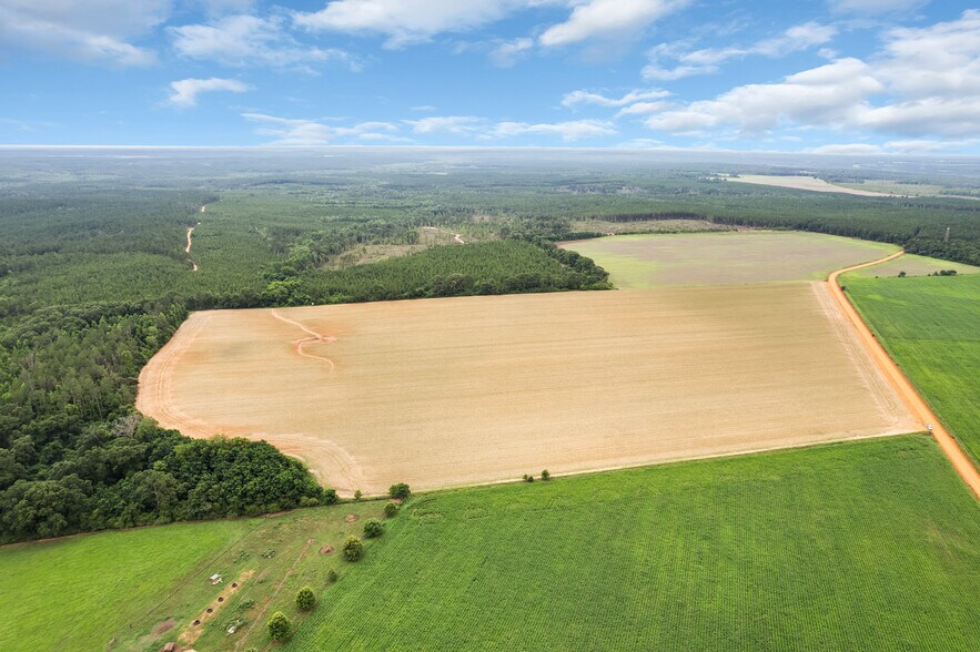 More Photos Of 0 Old Stage rd, Repton Land For Sale