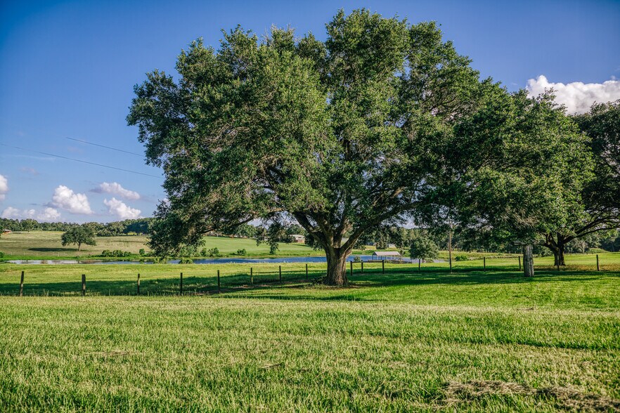 More Photos Of 1034 Hilbun Rd, New Ulm Land For Sale