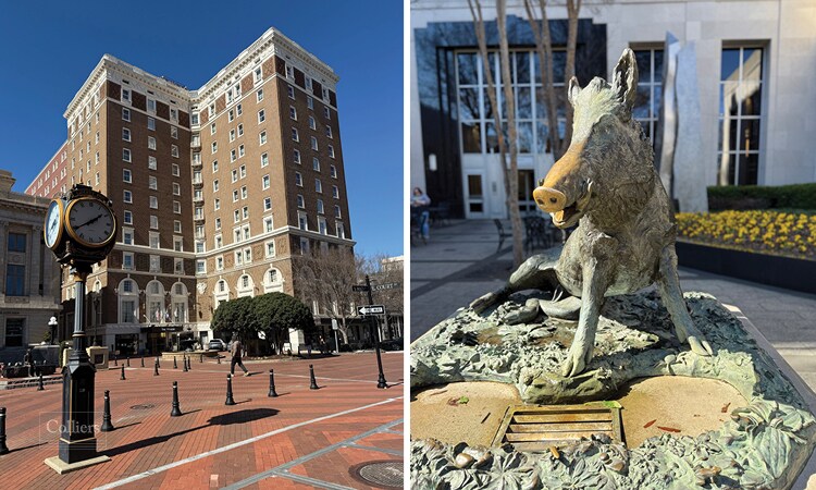 More Photos Of 104 S Main St, Greenville Office For Lease