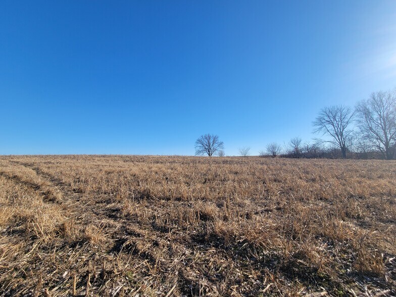 More Photos Of 171 Windy Hill Rd. (20+/- Acres), Elsberry Land For Sale