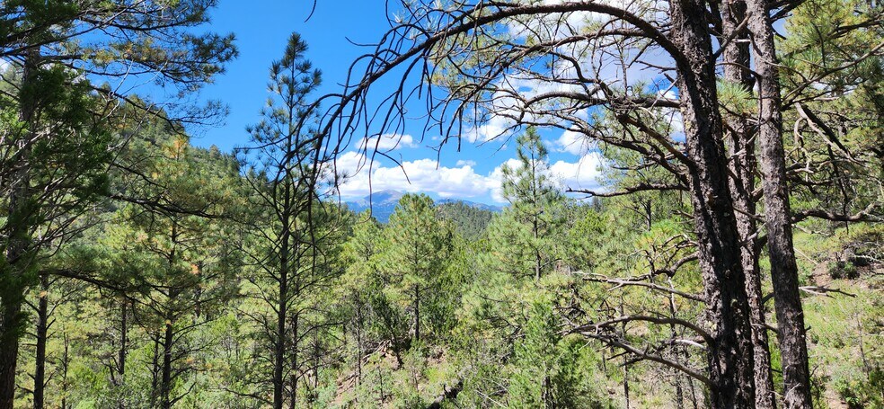 More Photos Of 140 Paradise Canyon Dr, Ruidoso Land For Lease