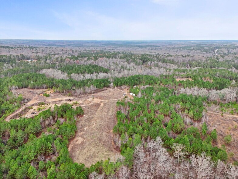 More Photos Of 16.31+/- AC Franklin Parkway Franklin GA 30217, Franklin Land For Sale