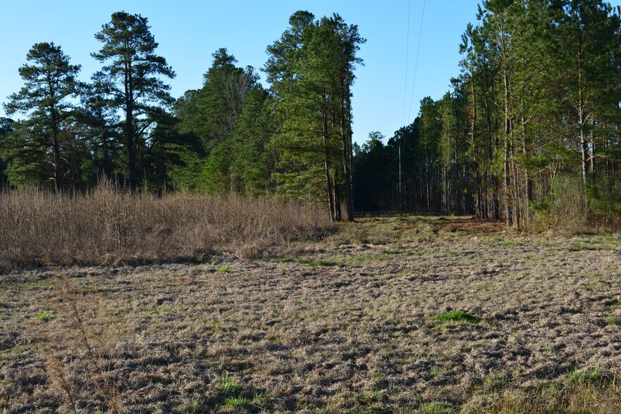 More Photos Of 7046 Old US 1 Hwy, New Hill Land For Sale