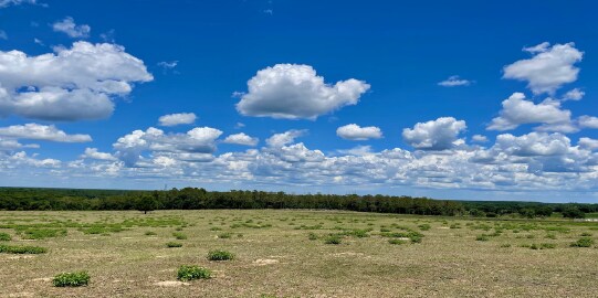 More Photos Of 0 Parrish Grove Rd, Dade City Land For Sale
