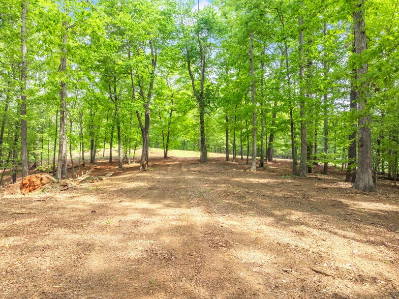 More Photos Of 0 Highway 321 South, Lenoir City Land For Sale