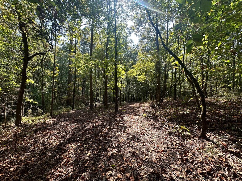 More Photos Of 7330 Frix Rd, Cumming Land For Sale