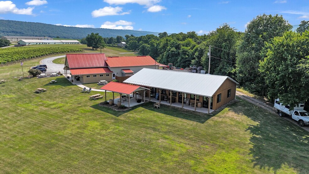 More Photos Of 3 Orchard Rd, Liverpool Winery Vineyard For Sale